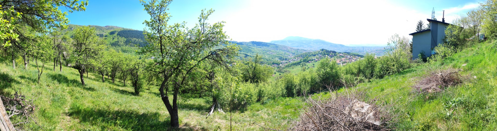 PANO_20240415_115815